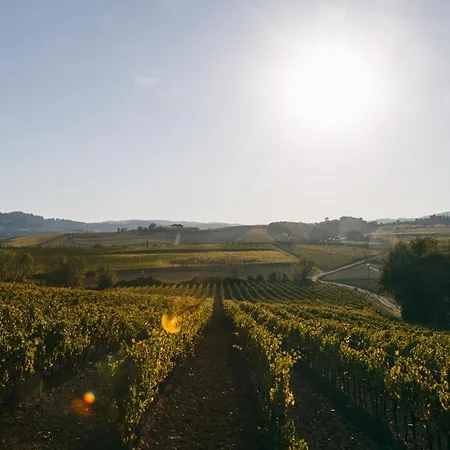 L'orto Di Panza アッバディーア・ディ・モンテプルチャーノ