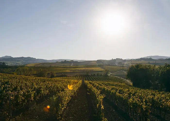 L'orto Di Panza Abbadia di Montepulciano